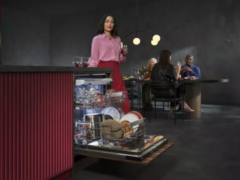 AEG New Favorit dishwasher series